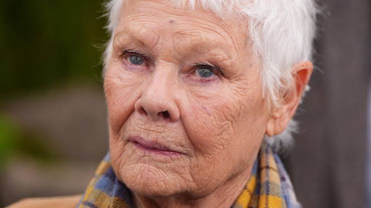 Dame Judi Dench, 91, makes sobering confession about ageing and death: 'Like a dusty old relic'