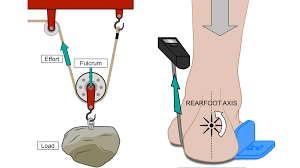 Image result for Fulcrum Test