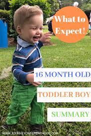 Spear Summary Of Month 17 16 Month Old Development Activities For Boys Toddler Development