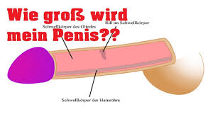 Großer spaß oder großer schmerz: Wie Gross Wird Mein Penis Selbsttest Youtube