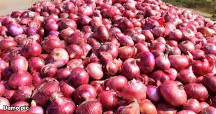 Farmers-traders are worried about onion export ban