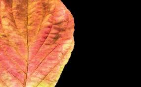 people and ideas for autumn 2019