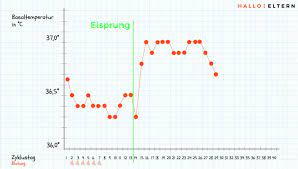 Basaltemperatur Messen Den Eisprung Bestimmen Hallo Eltern