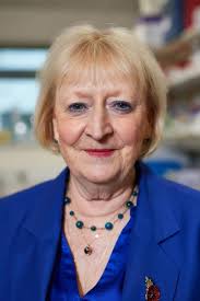 From Vision to Impact: A 15-Year Journey Shaping the Future of Healthcare