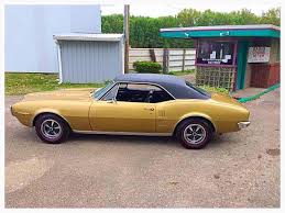 Image result for Coronado Gold 1967 Firebird