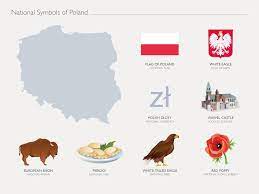 Home → national symbols → national animal of poland. National Symbols For Powerpoint Ad National Sponsored Symbols Powerpoint National Symbols Poland Symbols Poland