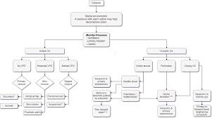 Management Of Gastroschisis Intechopen