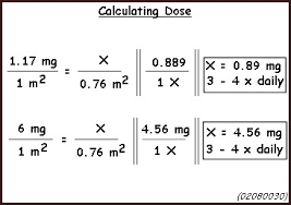 Calculations Doses And Dosage Regimens