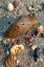 We did not find results for: Batu Pasir Wallpaper Muat Turun Ke Telefon Bimbit Anda Dari Phoneky