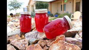 The fruit can be scooped from the skins, strained and cooked with sugar to make jams, preserves and syrups. Prickly Pear Jelly How To Make Youtube