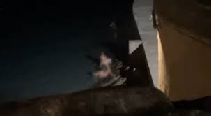 Gallipoli, lestate degli eccessi diventa anche trash: due coppie fanno  sesso sulla riva della Purità sotto gli occhi dei passanti. E il video  diventa virale