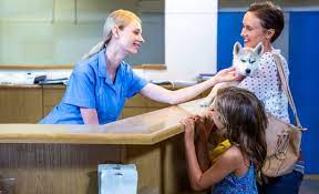 Maybe you would like to learn more about one of these? Petsmart Pet Insurance From Banfield 2021 Review Is It Worth The Cost