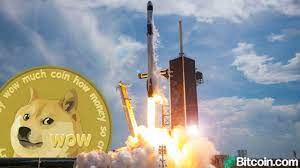 Take this little puppie to the moon! 6l Byxi2lkqeam