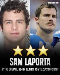 Detroit Lions tight end rises to NFL top