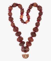 Mahamrityunjay Rudraksha Mala Rudraksha Lord Shiva Rudraksha Png Transparent Png Transparent Png Image Pngitem Meditation rudraksha hinduism zafu png, clipart, aura, brand. mahamrityunjay rudraksha mala