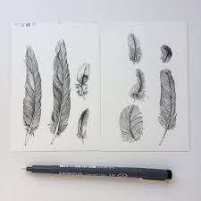 Pin On Feather Sketches