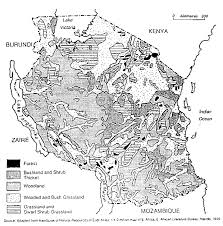 Image result for Otiophora stolzii