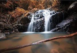 Posted by ayuacheh at 11:49 pm. Portal Rasmi Jabatan Perhutanan Negeri Johor Eko Pelancongan