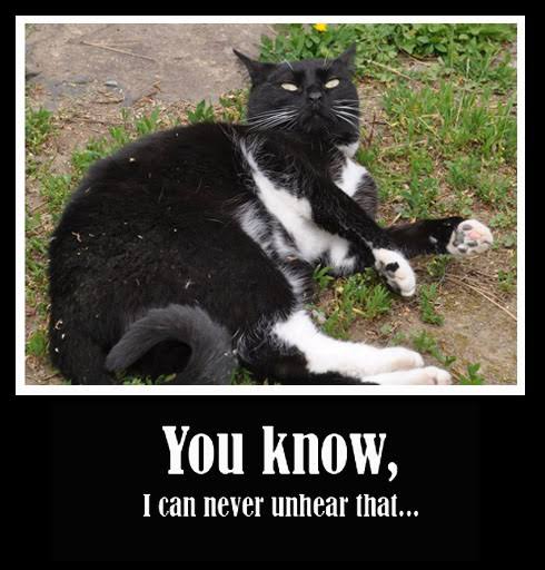 images?q=tbn:ANd9GcQJNzR6nNHKlZNUeHiYDla