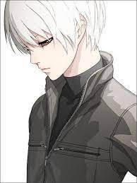 Homura akemi of puella magi madoka magica. Razgri47 S Image Boy With White Hair Cool Anime Guys Anime Boy