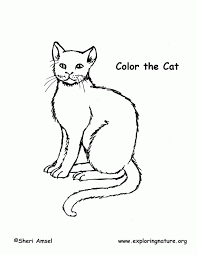 Print and color this nature cat coloring page. Cat Coloring Page Exploring Nature Educational Resource Coloring Home
