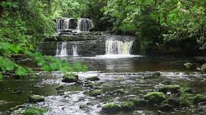 8 Hours Nature Sounds Relaxing Forest Waterfall Soothing Birdsong Natural Sleep Sound Meditation Youtube