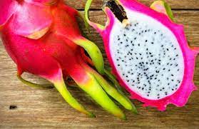 Growing Dragon Fruit How To Grow Dragon Fruit From Seed Dragon Fruit How To Grow Dragon Fruit Fruit