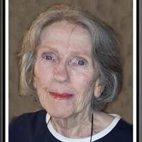 Dianne M. Kelsey Obituary (2024)