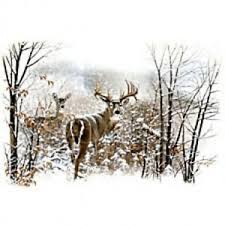 Details About Mens Or Womens Whitetail Deer Hunting Sweatshirt Or Hoodie Sm 3xl Shirt New