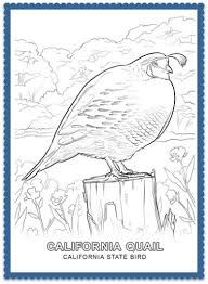 State Bird Coloring Pages By Usa Facts For Kids Bird Coloring Pages Flag Coloring Pages Camping Coloring Pages
