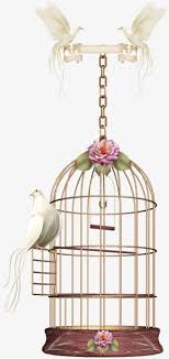 Birdcage Bird Cage Decor Bird Cage Clip Art