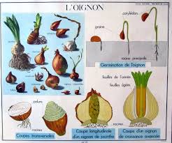 Epingle Sur Affiches De Sciences
