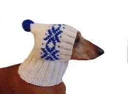 Warm Hat For Dog Or Cat Hat For Dog Hat For Small Dog Hat Etsy Dog Hat Small Dogs Cat Hat