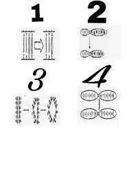 Gambarnya Di Atas Mohon Bantuannya1 Pada Gambar 1 Mutasi Gen Berdasarkan Gambar Tersebut Tipe Brainly Co Id