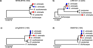 (e) section 4(a)(2), like all other sections of the holding company act, must be interpreted in the light of all of its provisions, as well as in the light of other sections of the act. Genome Assembly Of The Basket Willow Salix Viminalis Reveals Earliest Stages Of Sex Chromosome Expansion Bmc Biology Full Text