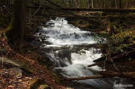 Maybe you would like to learn more about one of these? Stony Brook Falls Njhiking Com