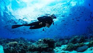 Being bound to the pacific ocean and the deep caribbean sea of the atlantic ocean, mexico houses millions of sea animals, tropical fishes, coral reefs, which are. Scuba Diving In Indonesia Places One Must Definitely Visit