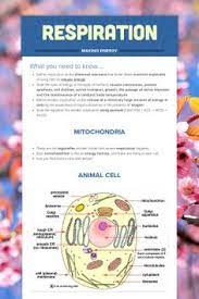 Characteristics of living things www.studyguide.pk biology is the study of living organisms. 9 Igcse Biology Notes Ideas Biology Notes Igcse Biology Biology