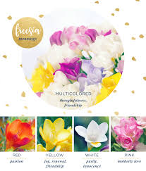 freesia meaning and symbolism ftd com