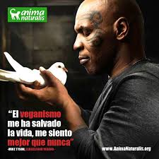 AnimaNaturalis Internacional