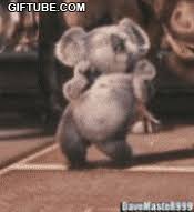 Looking for free animated funny dance gifs? Funny Animal Dancing Gif