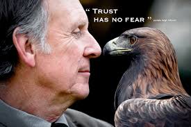 Check spelling or type a new query. Eagle Eye Quotes Quotesgram