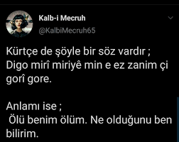Kurtce Sozler Evina Kurdi 2020 Ayrilik Sozleri Bff Sozleri Guzel Soz