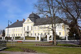 A magyarországi besenyőket az ország különböző részein telepítették. Hatvan Funiq