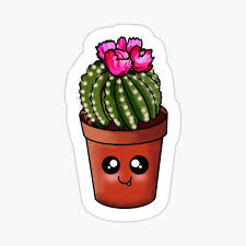 Ruby ball moon cactus | signed art print. Ball Cacti Gifts Merchandise Redbubble