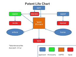 understanding your ip portfolio life of patent apex juris