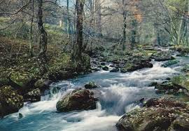 Se m?fier de l'eau qui dort. Il N Est Pire Eau Que L Eau Qui Dort Origine Signification Proverbe Expression Populaire Dictionnaire Locutions