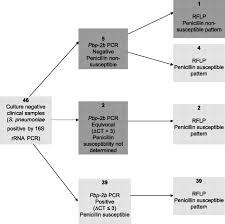 Duplex Real Time Pcr Assay For Detection Of Streptococcus