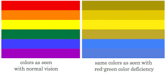 Most people who are colorblind lead normal and complete lives. Color Blindness Causes Types Schoolworkhelper