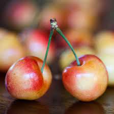 Maybe you would like to learn more about one of these? Governor Wood Cherry One Green World